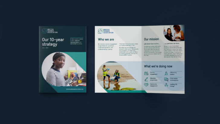 BSA Strategy launch A5 flyer 3 sml