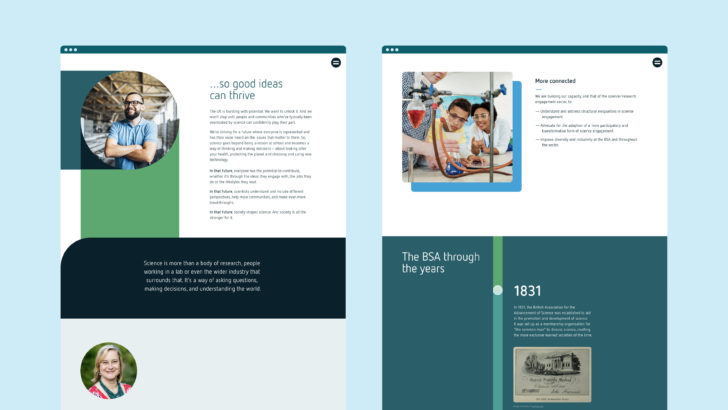 BSA Strategy launch microsite 3 sml
