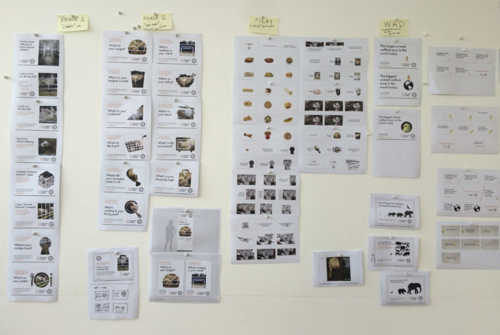 Wap Chicken Milestones Large Image 1400x940 11