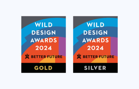 Double win for Red Stone in the global WILD Design Awards 2024